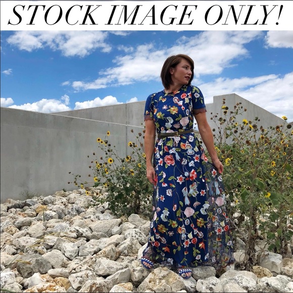 Size XS Deanne II sheer embroidered overlay dress - Picture 4 of 6